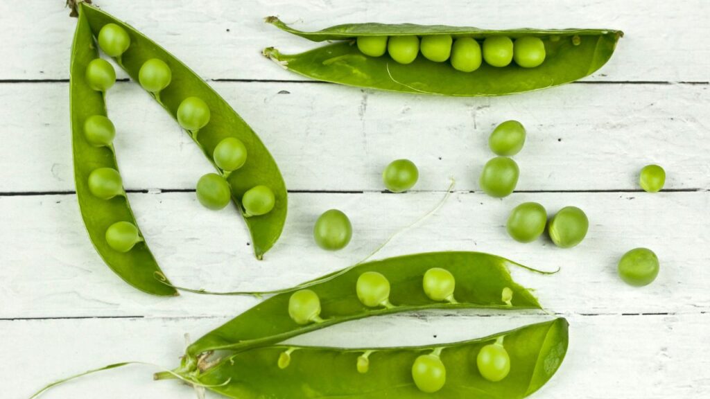 Top 10 Plants and Vegetables to Grow for a Healthy and Thriving Garden